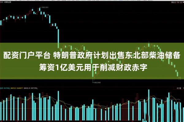 配资门户平台 特朗普政府计划出售东北部柴油储备 筹资1亿美元用于削减财政赤字